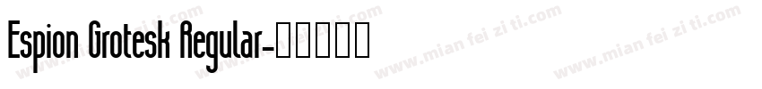 Espion Grotesk Regular字体转换